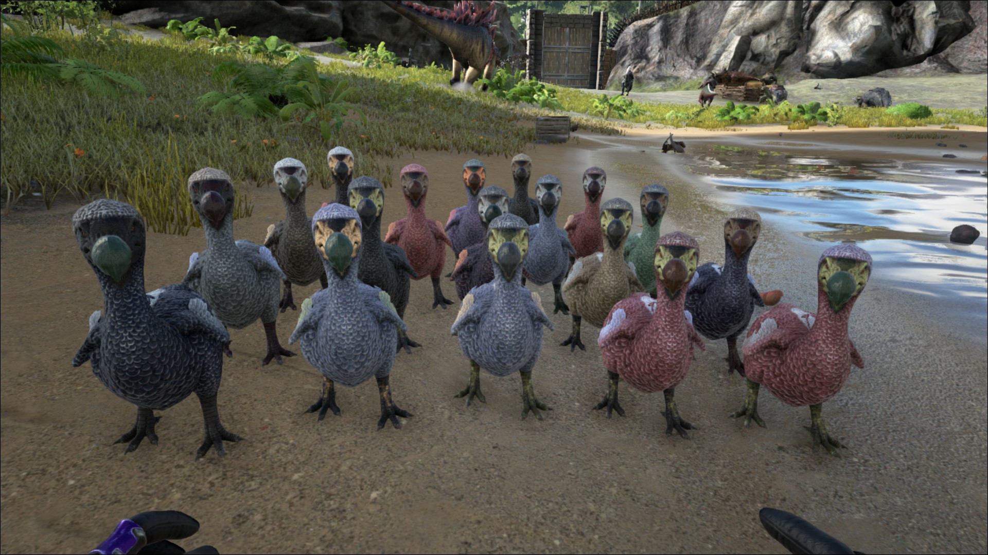 Dodo Armee