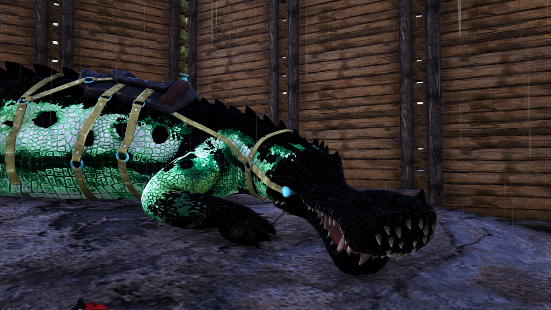 Warden_Sarco