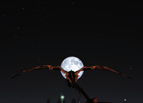 Wyvern at night. The Center Map