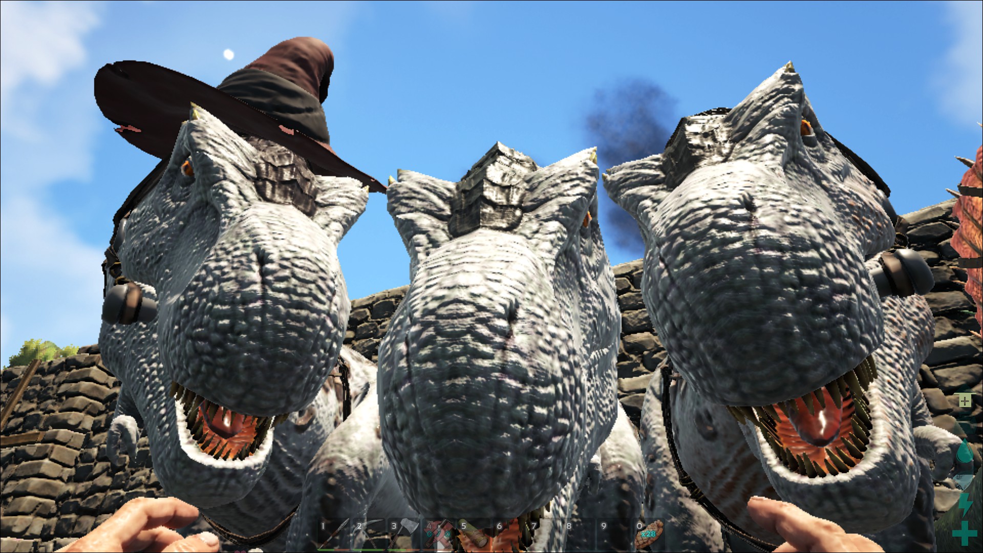 The Rex Family <3