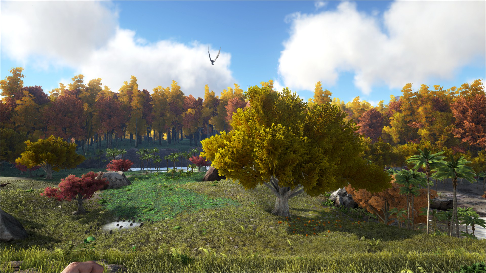 Der Herbst ist da :D