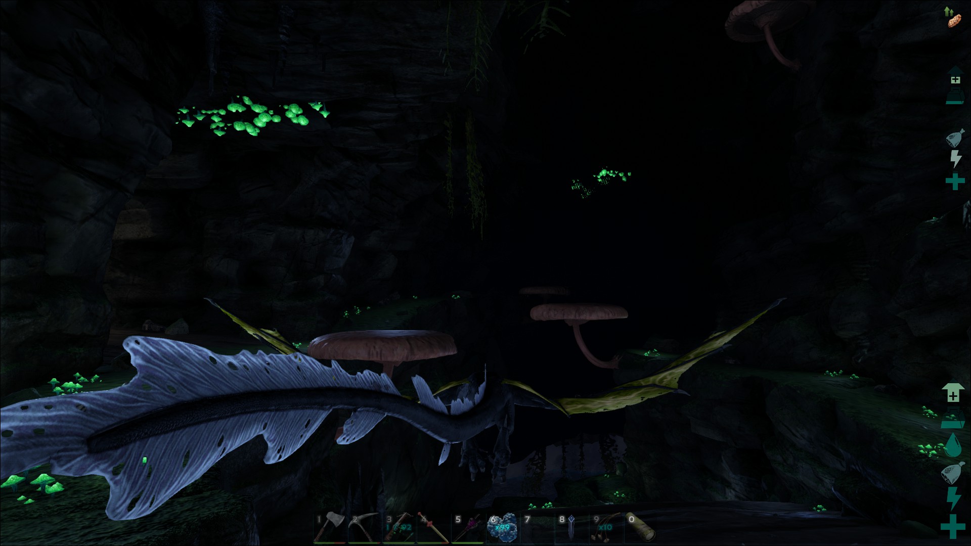 Mit Wyvern durch Center Cave