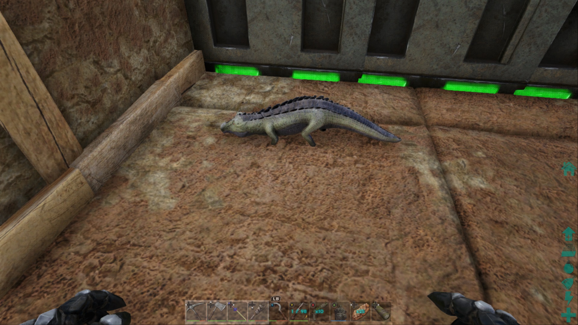 Kaprosuchus Baby