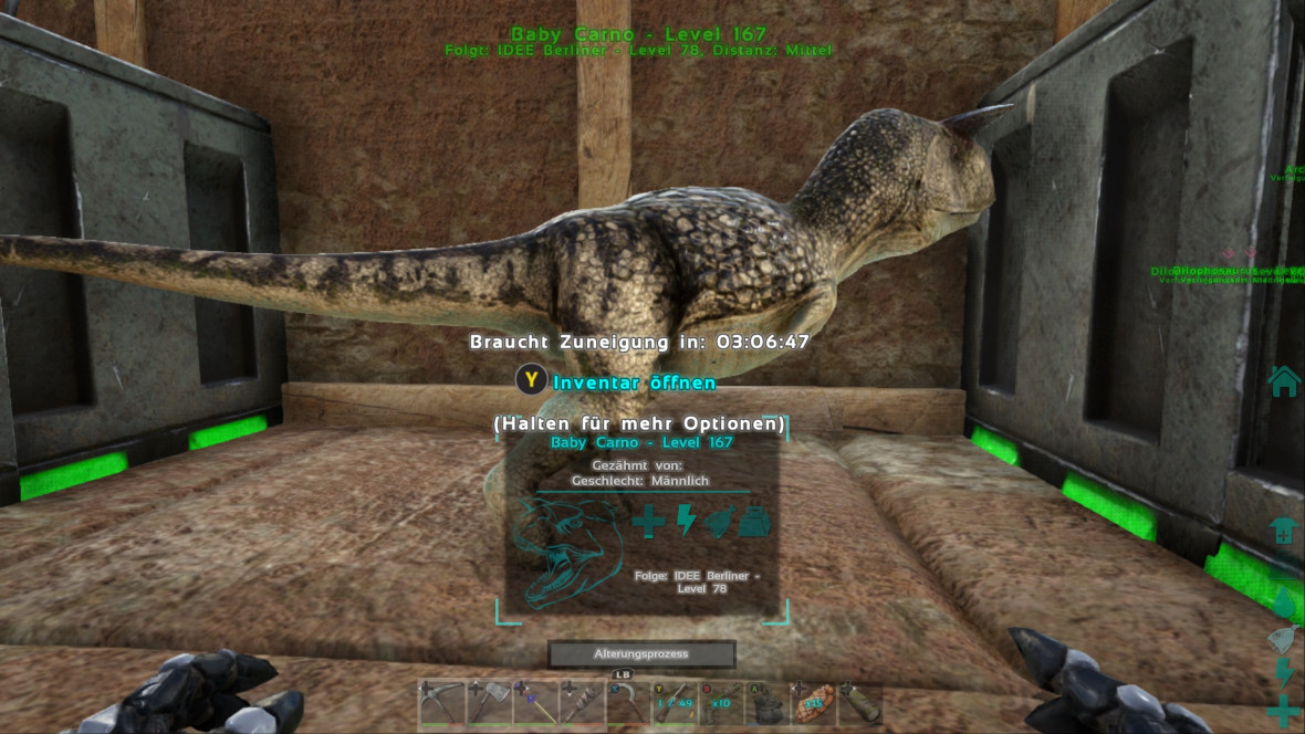 Carno Baby