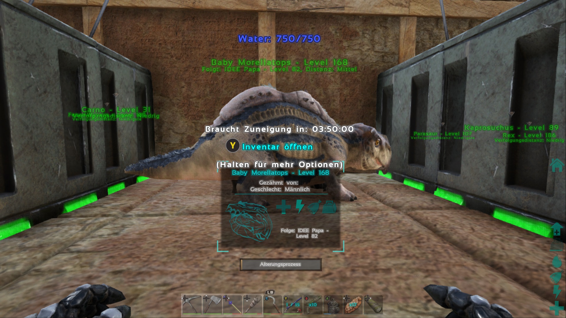 Morellatops Baby