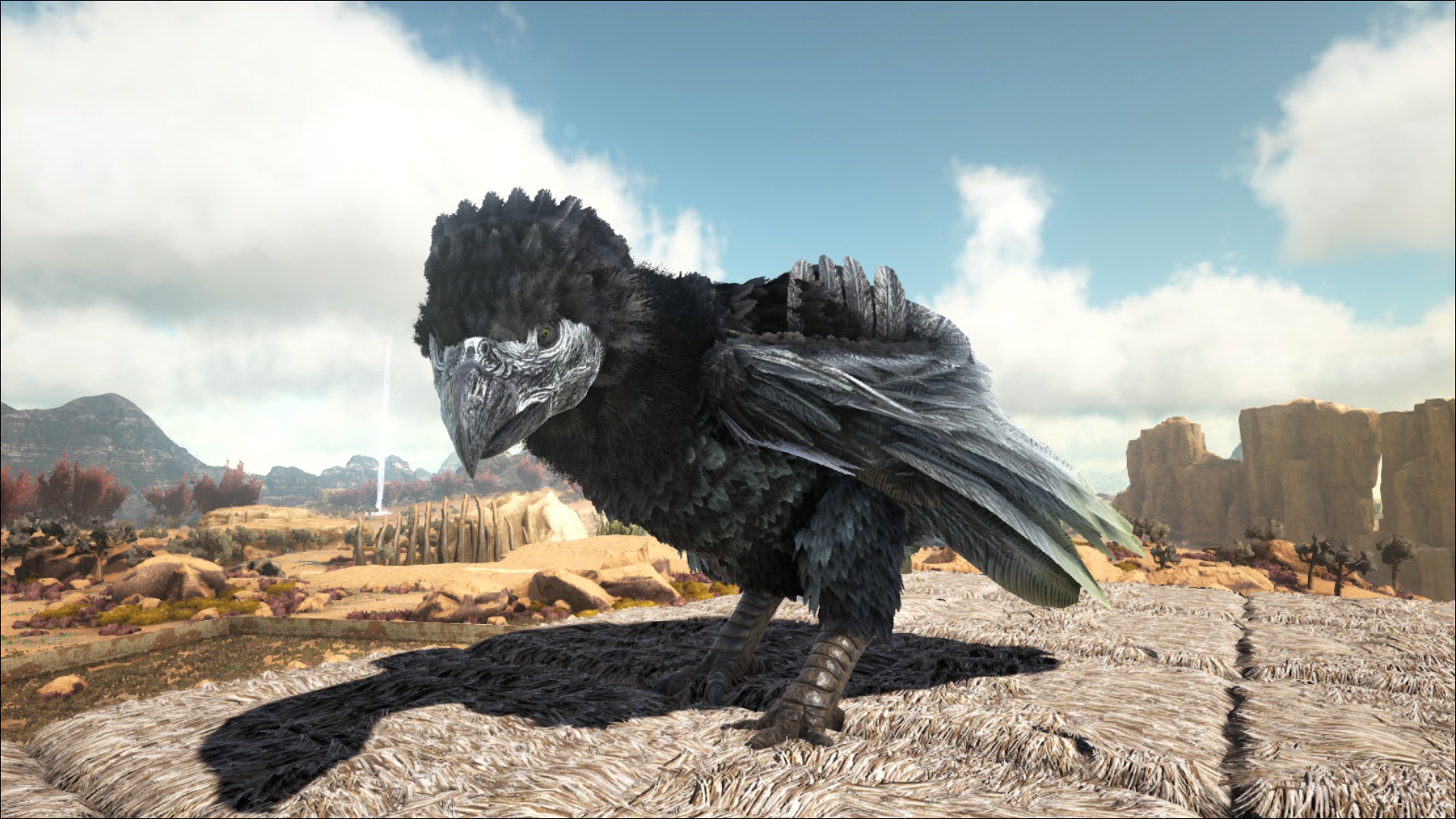 Argentavis
