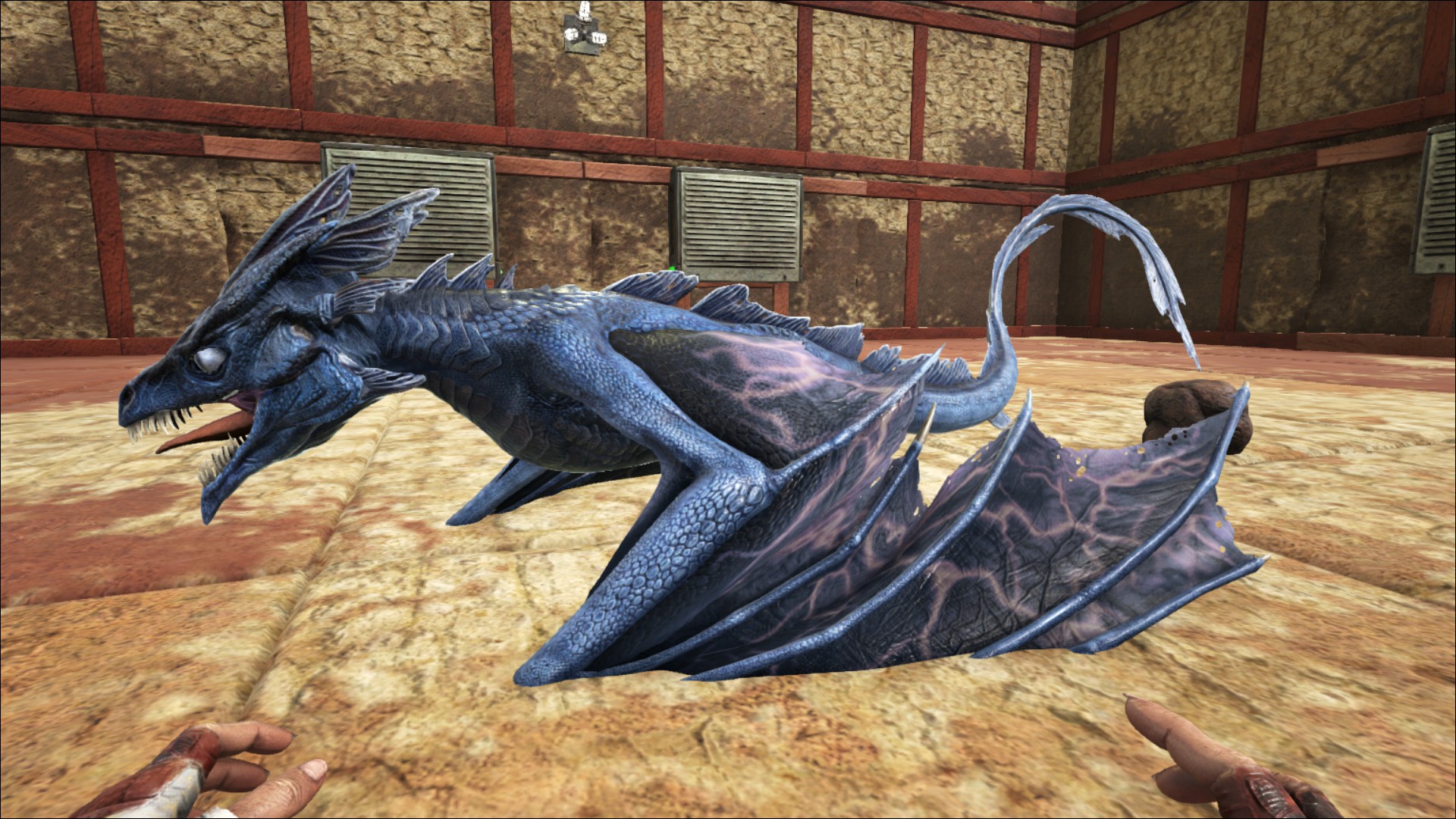 Baby Saphira