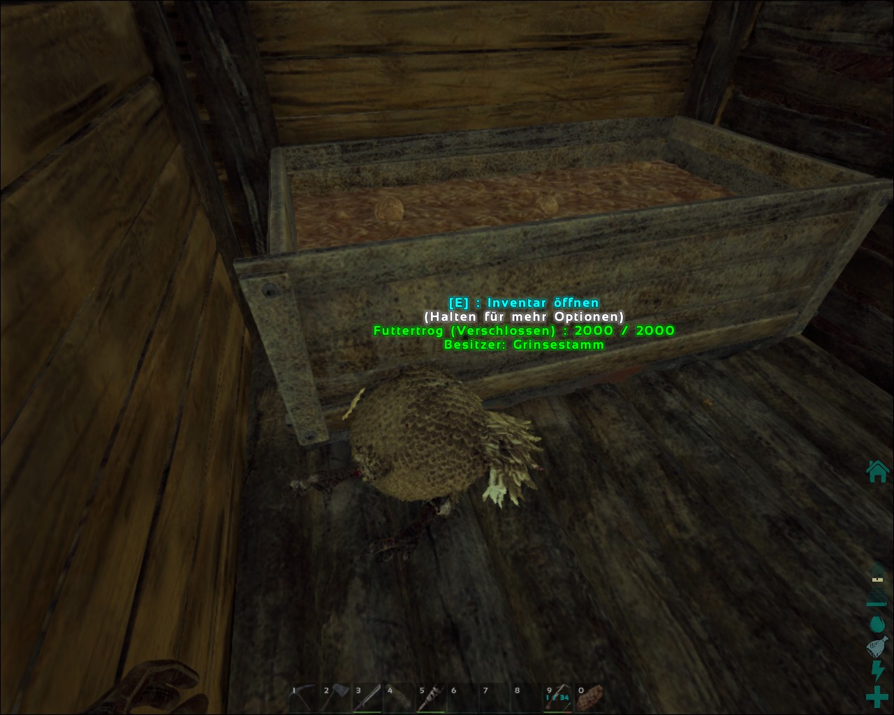 Typisch Dodo