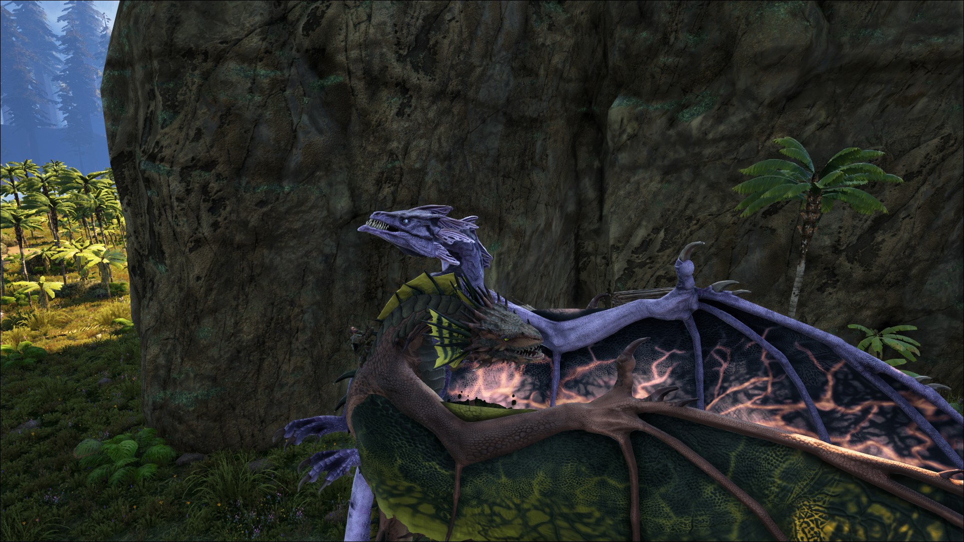 Wyvern kuscheln