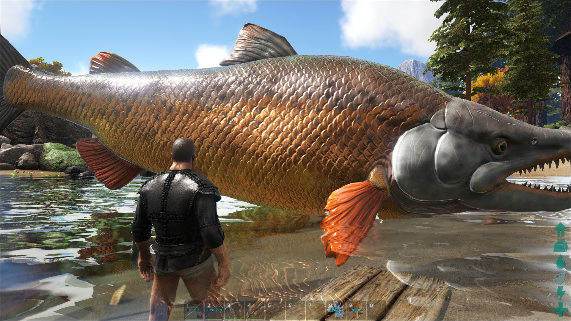 WTF Fisch