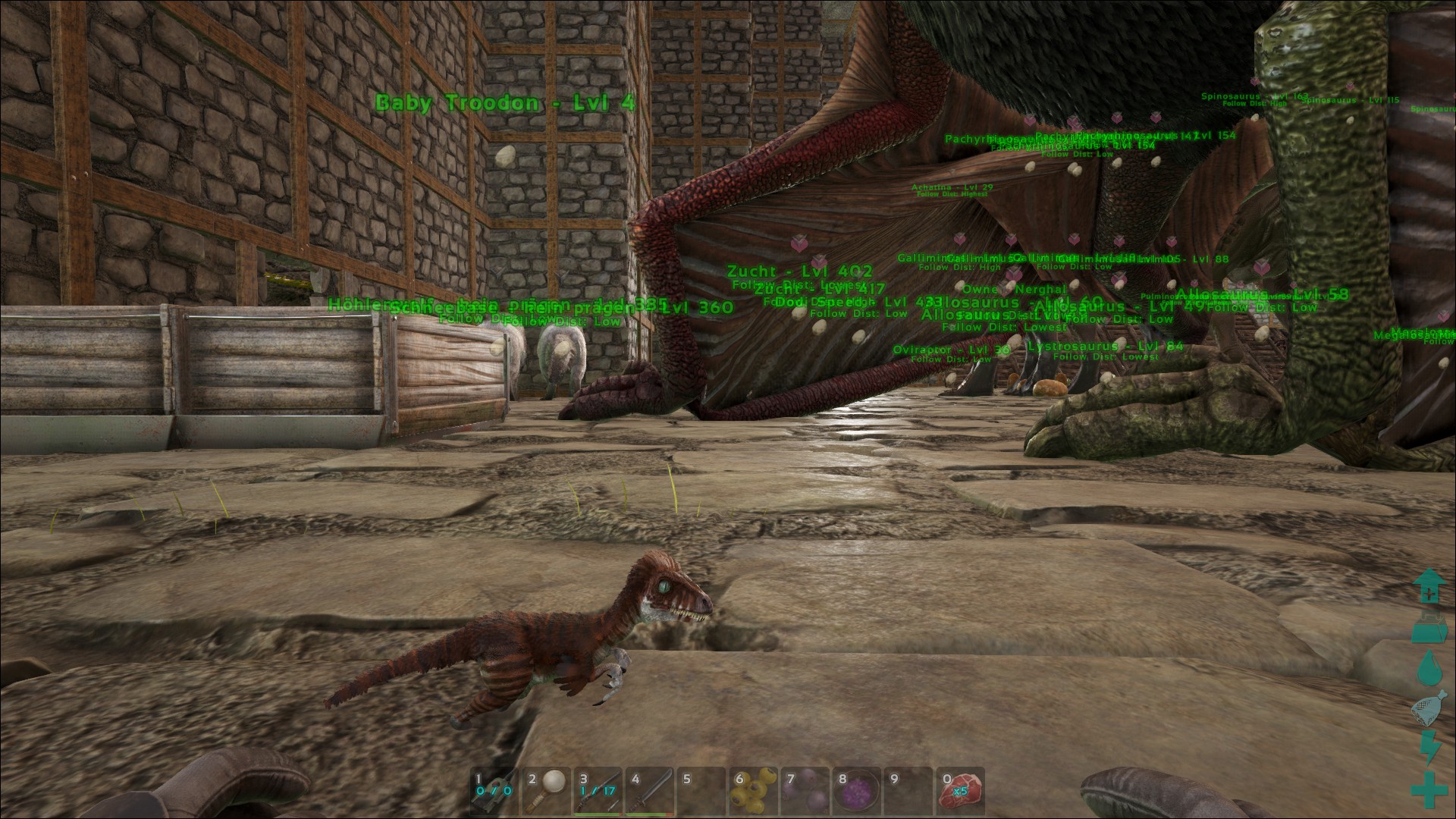 Troodon Baby :D