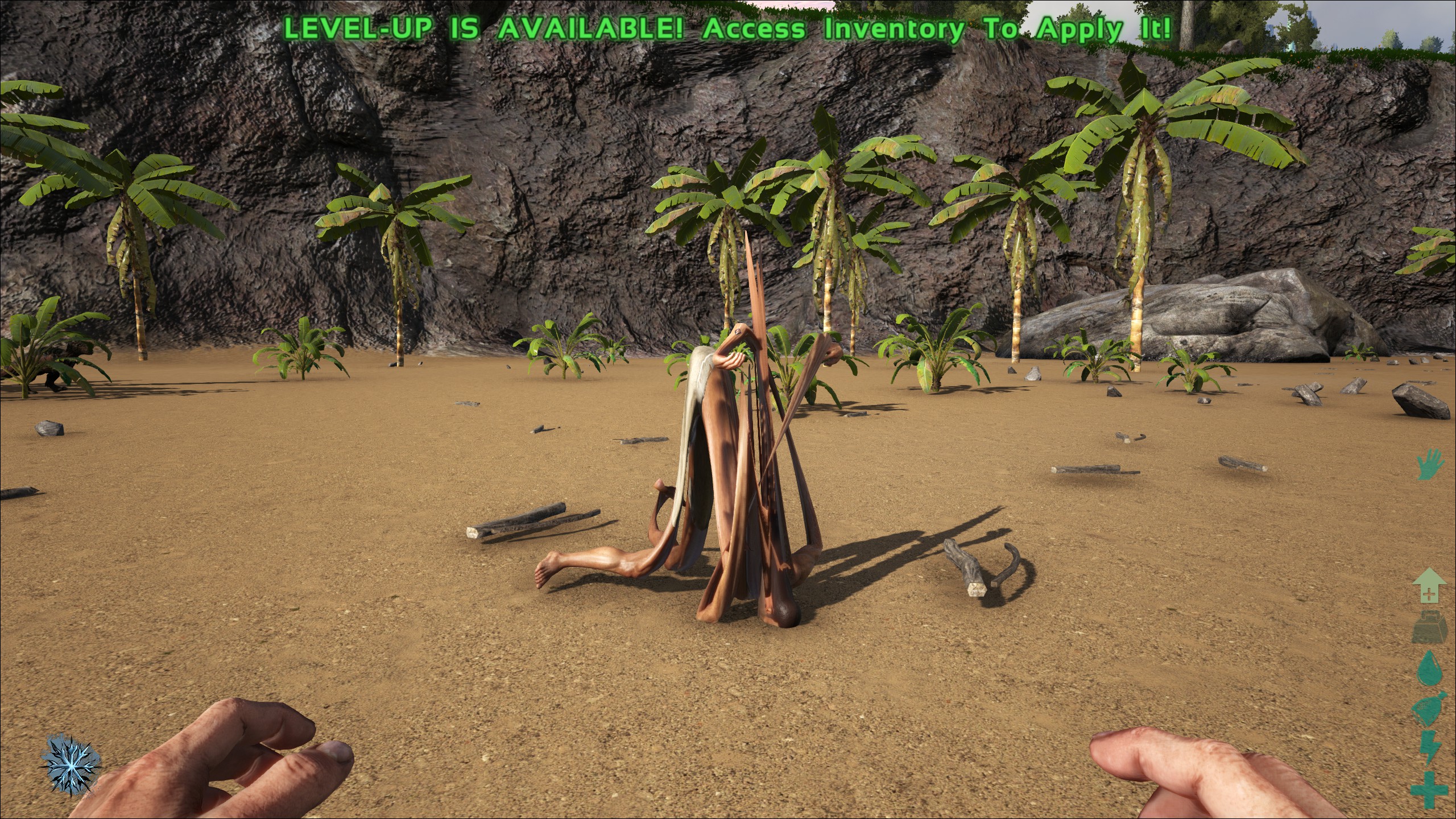 ARK Joga