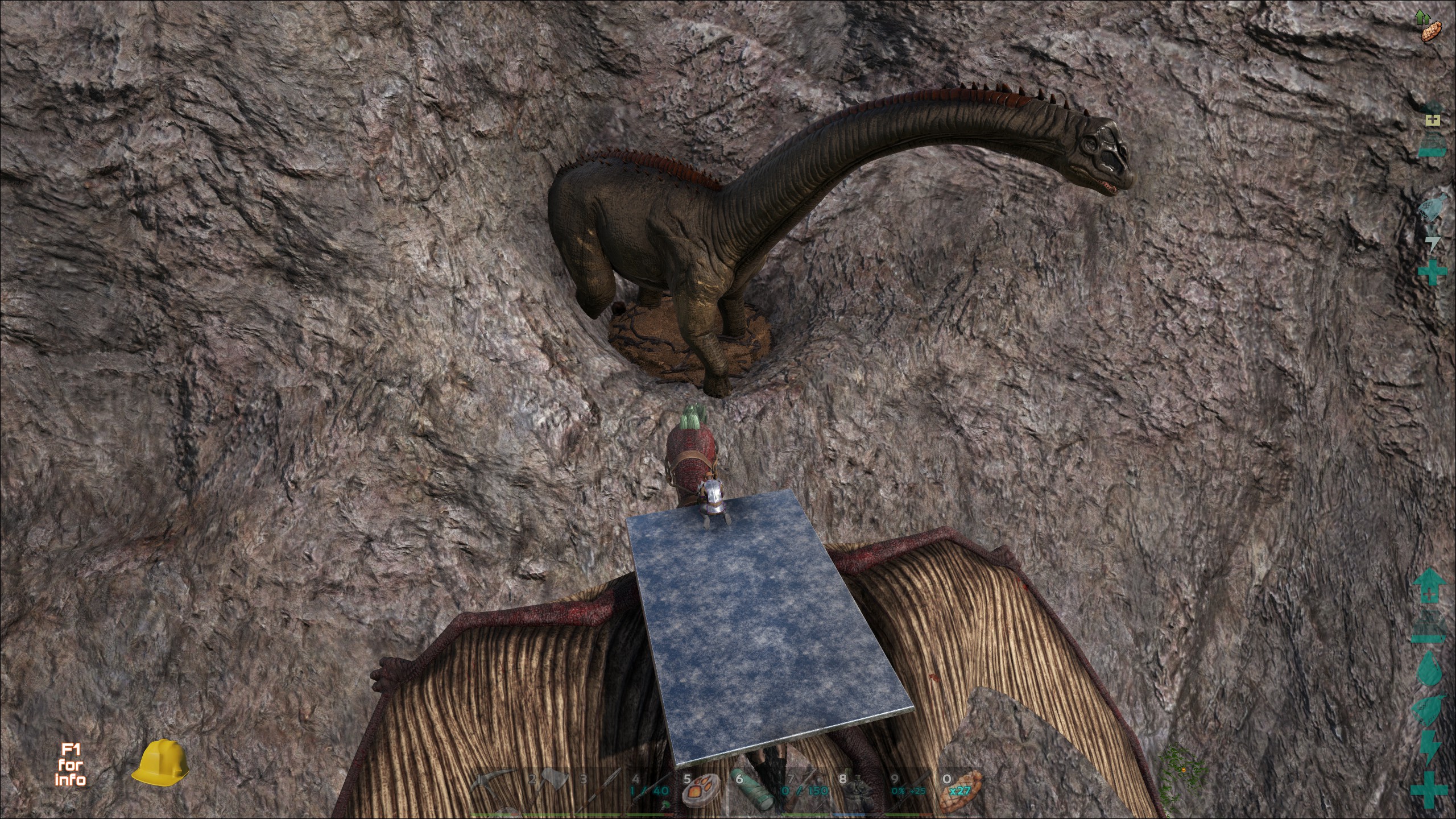 Gemeiner-Berg-Bronto und seine Herkunft.