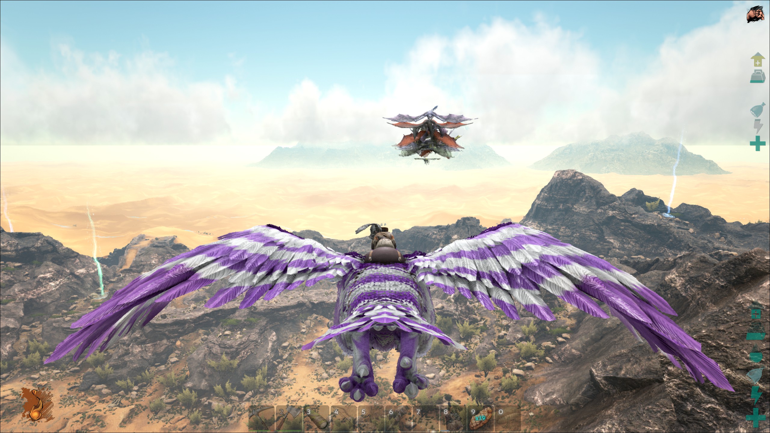 Wyvern Family