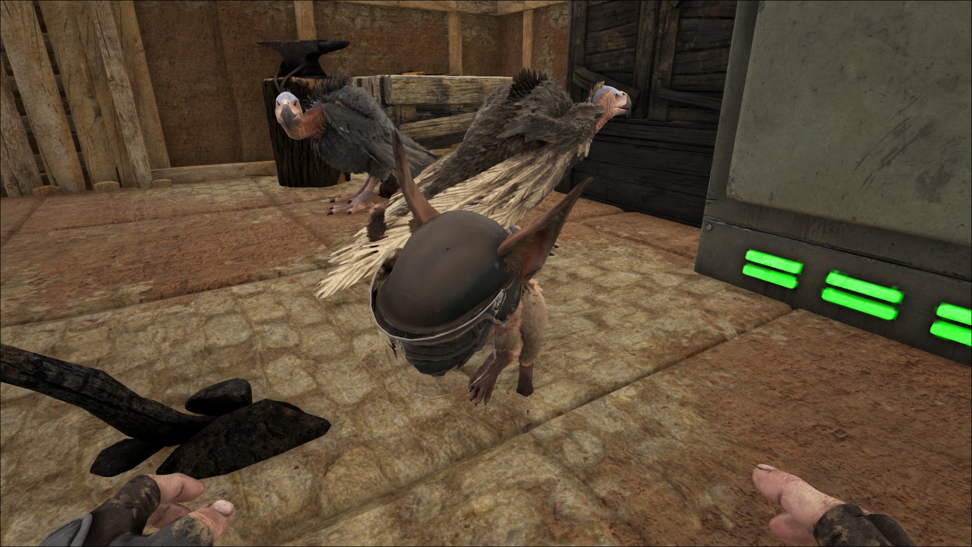 Tactical Jerboa oder Darth Jerboa