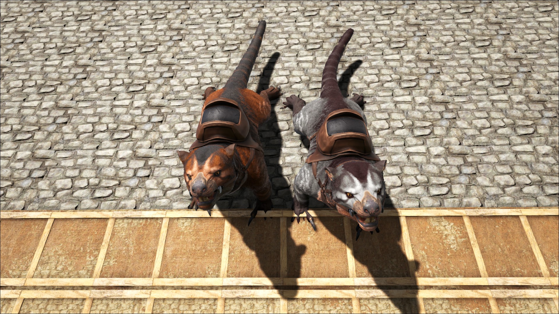 Taka und Nala