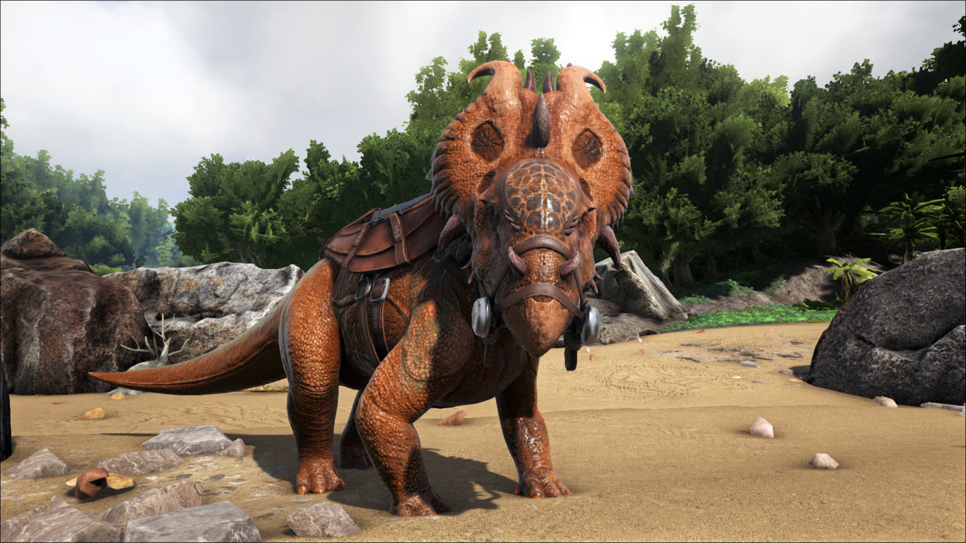 Pachyrhinosaurus