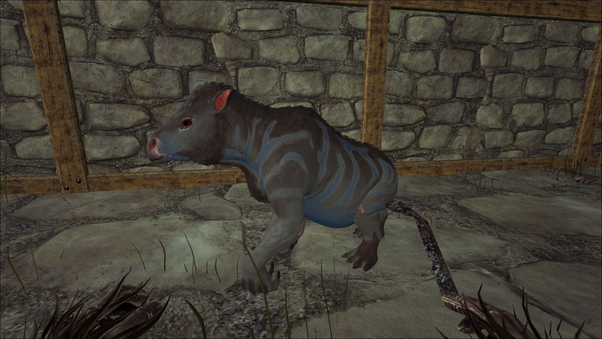 Baby Nimrod, der kleine Mutant. :-)