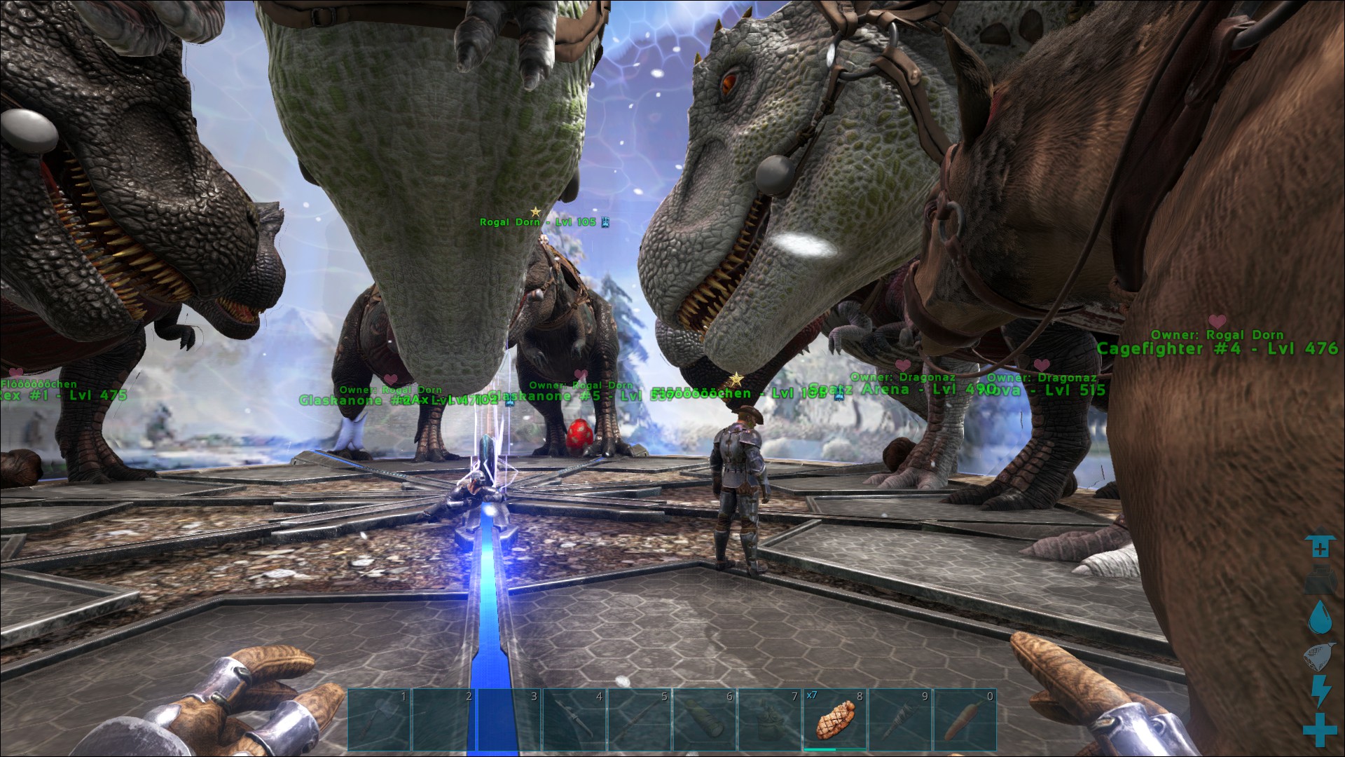 Arena 1