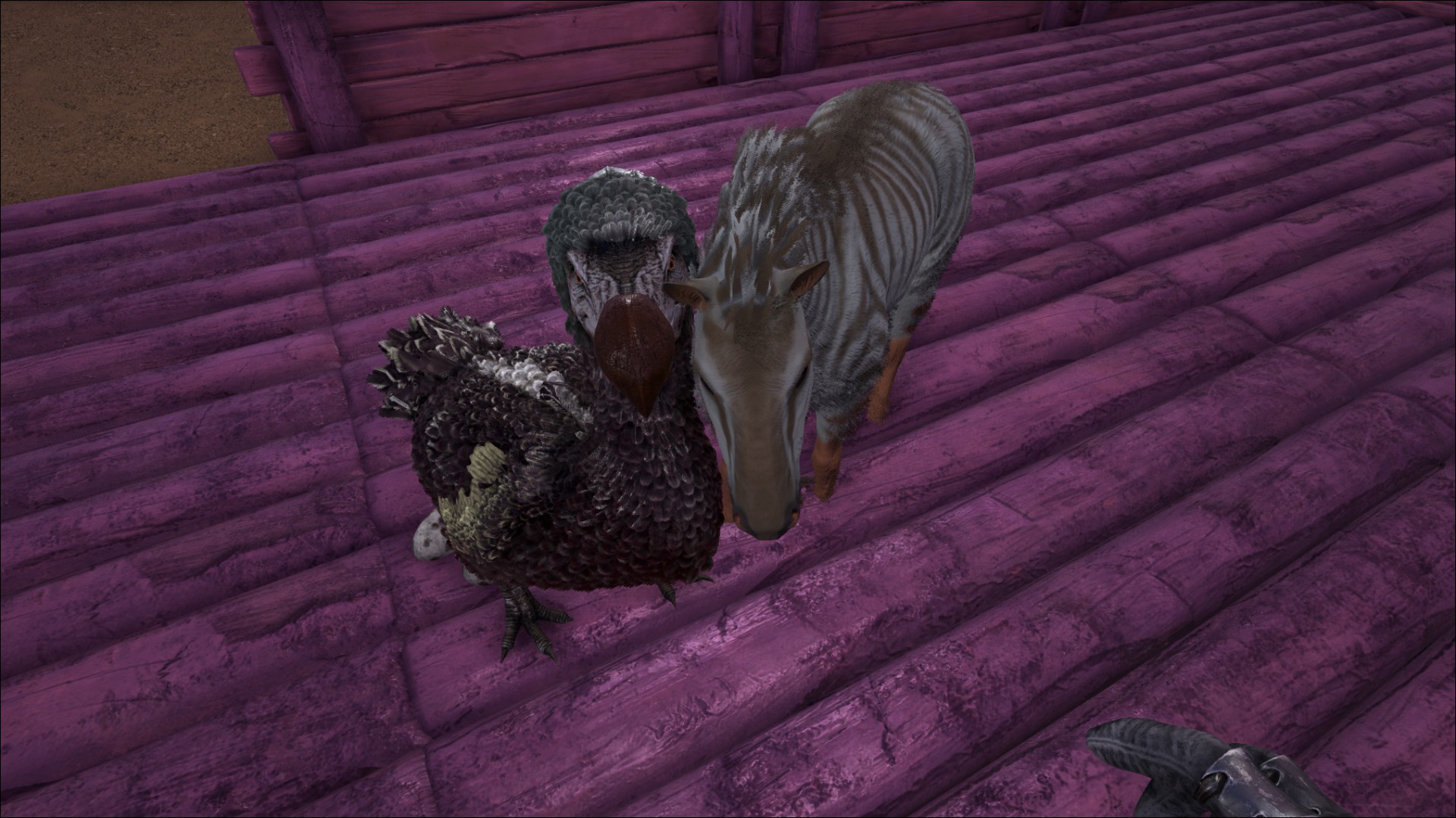 Hab' dich lieb Tante Dodo ^^