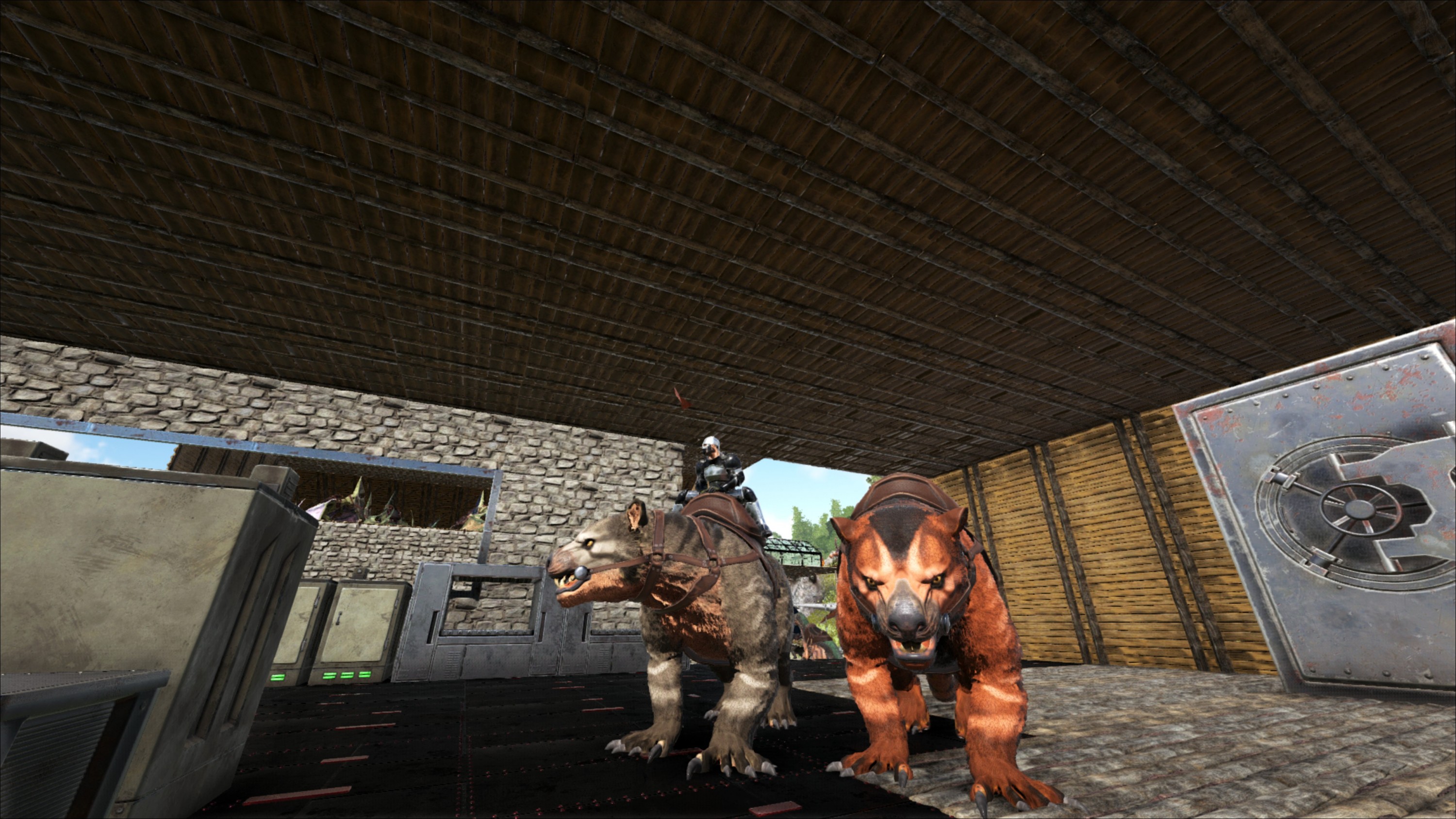 Coole Tiere