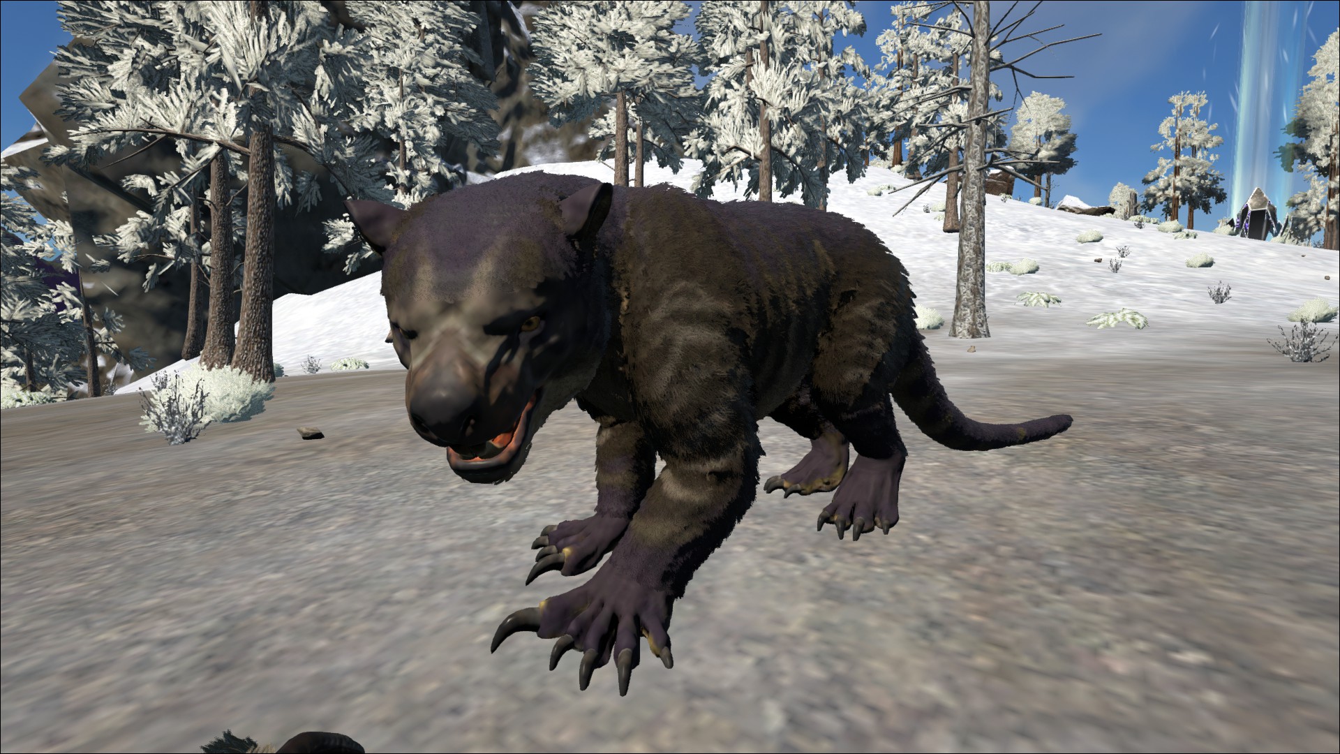 Lilaner Thylacoleo