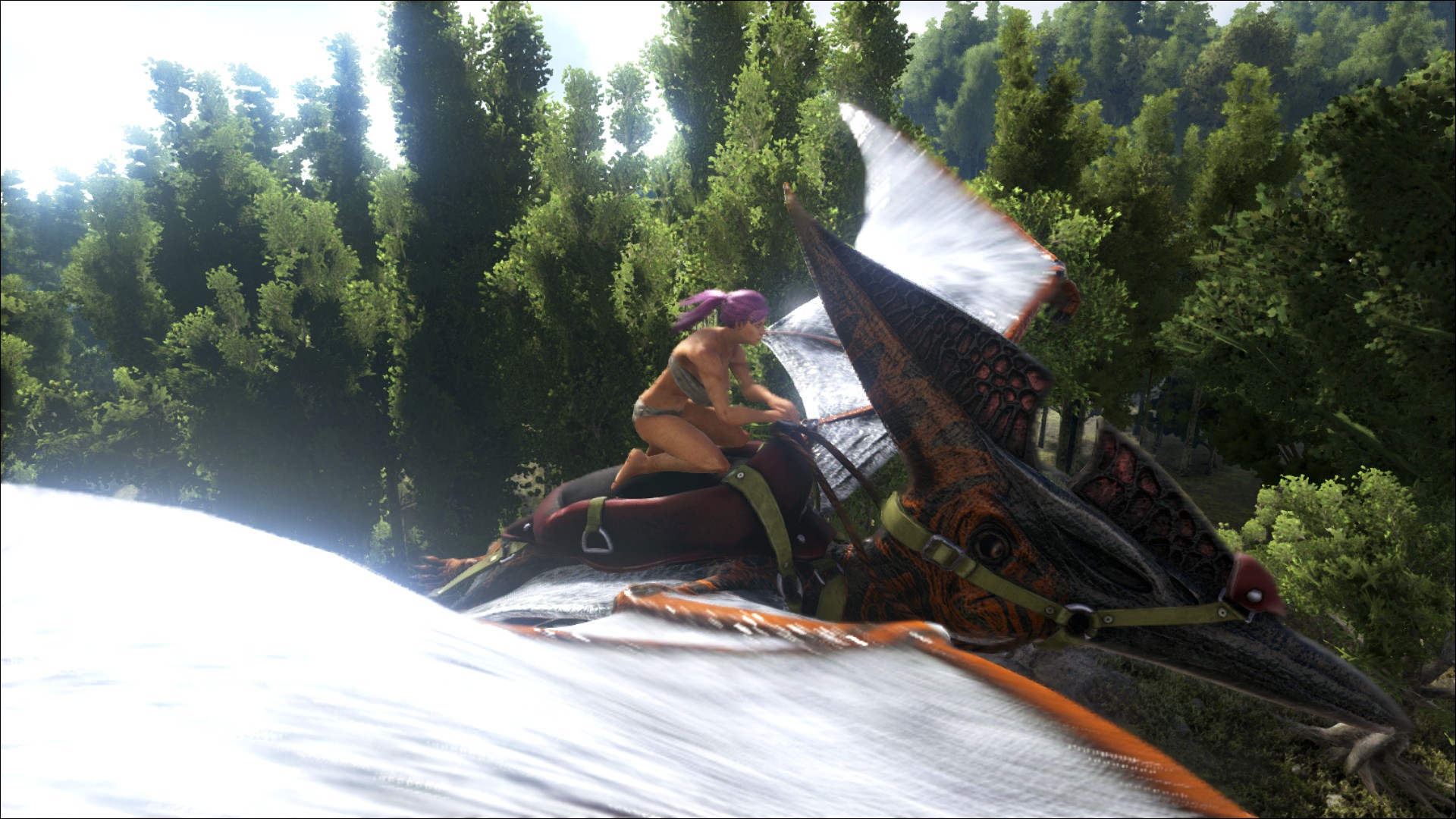 Pteranodon fliegen