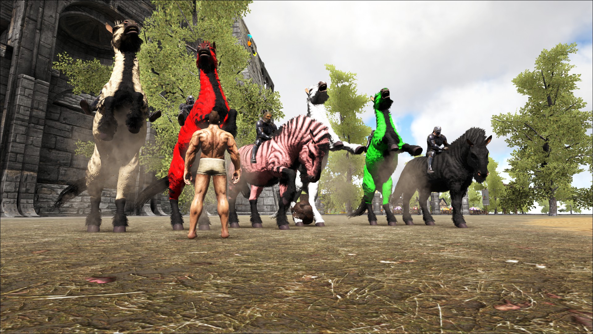 ARKFORUM Tjosttunier