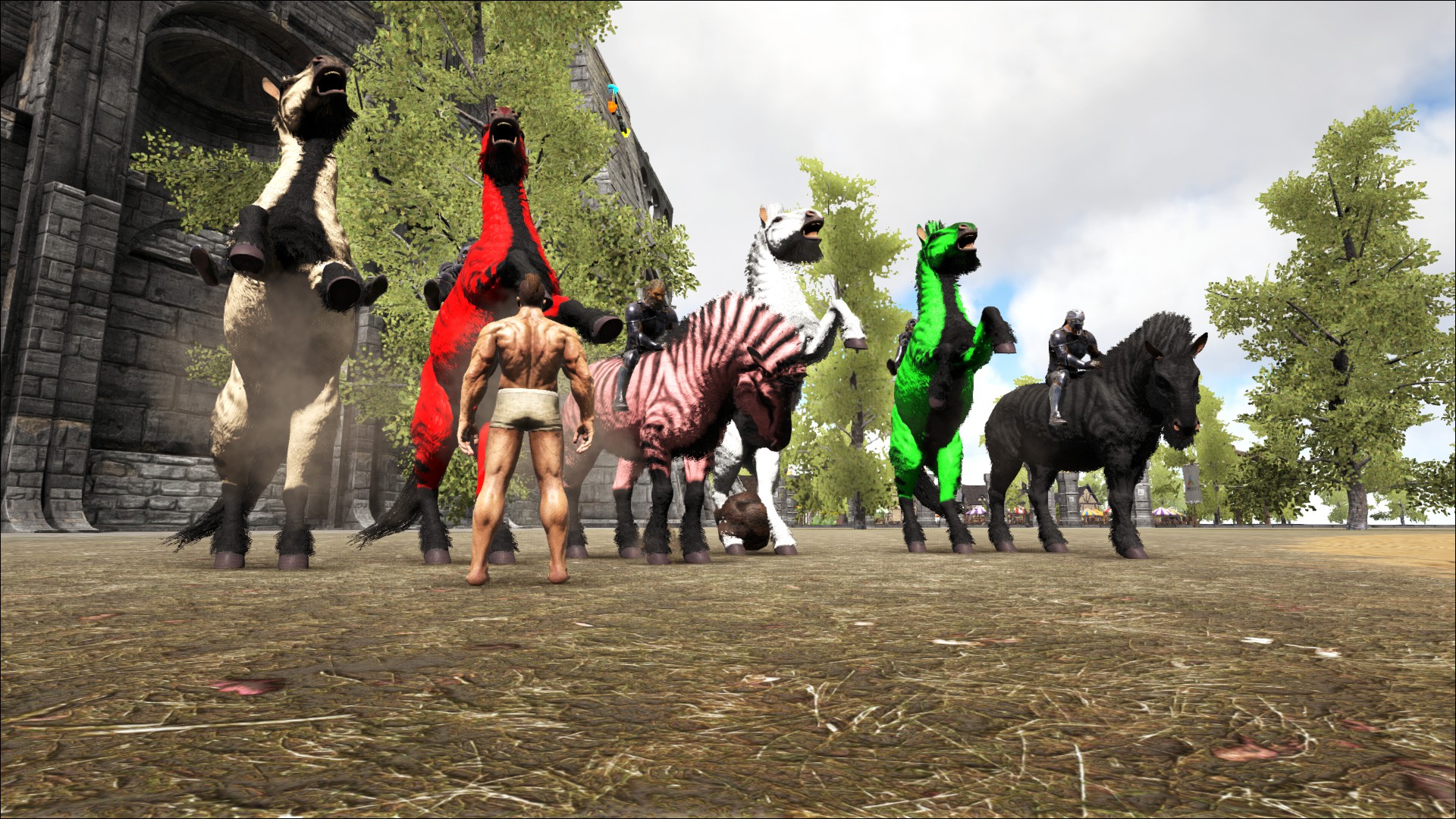 ARKFORUM Tjosttunier