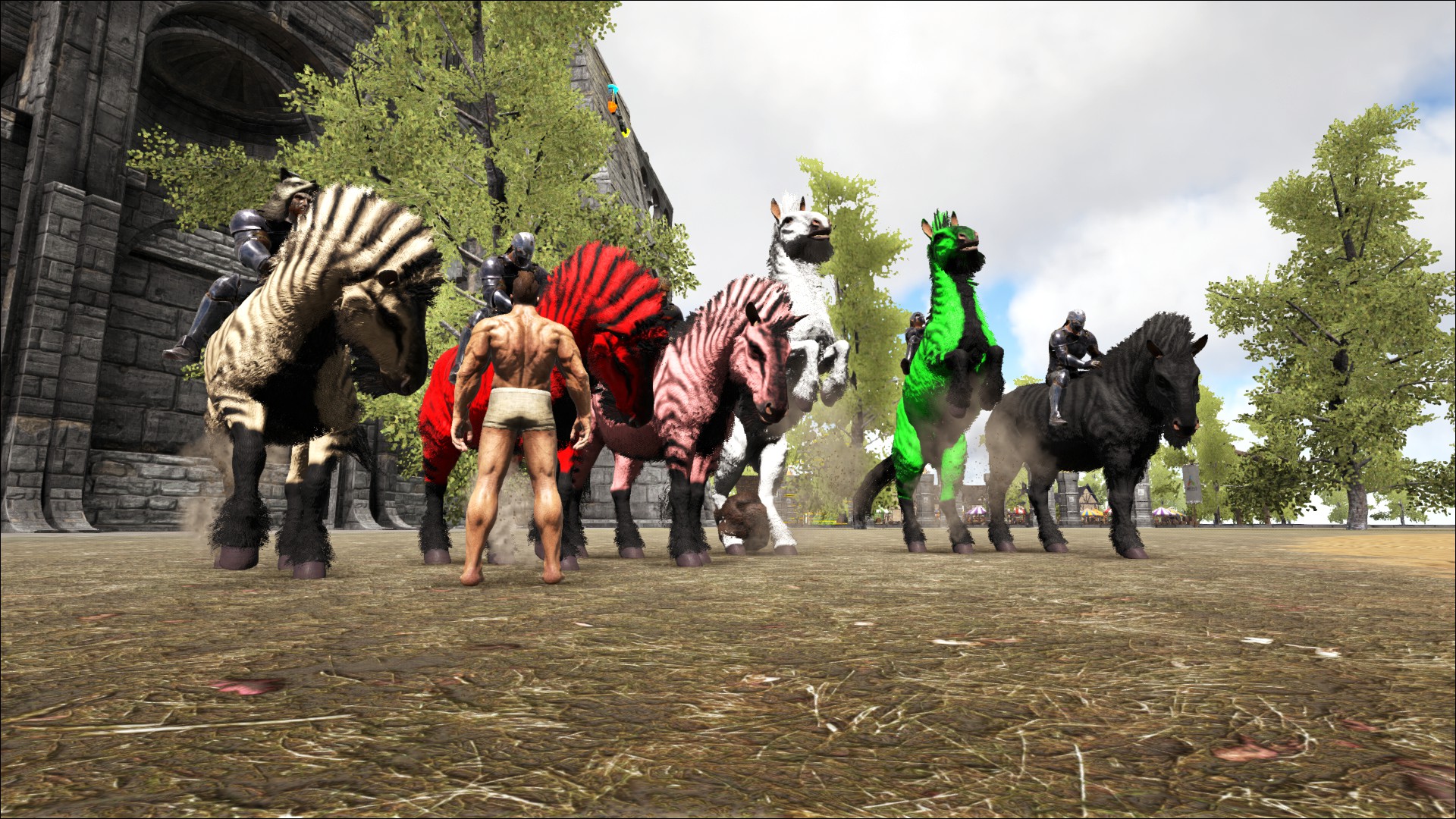 ARKFORUM Tjosttunier