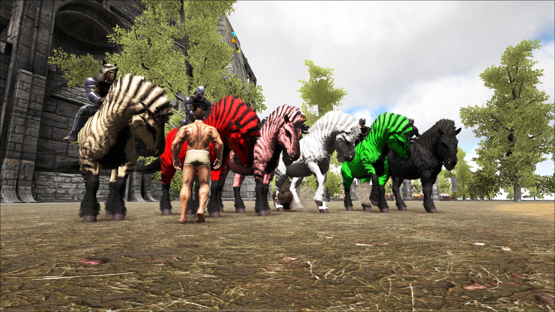 ARKFORUM Tjosttunier