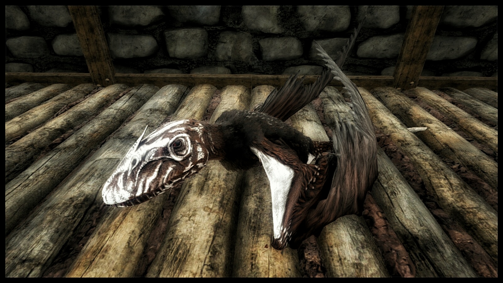 Dimorphodon
