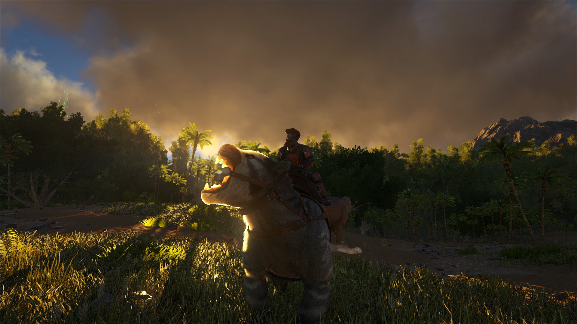 Thylacoleo am Abend