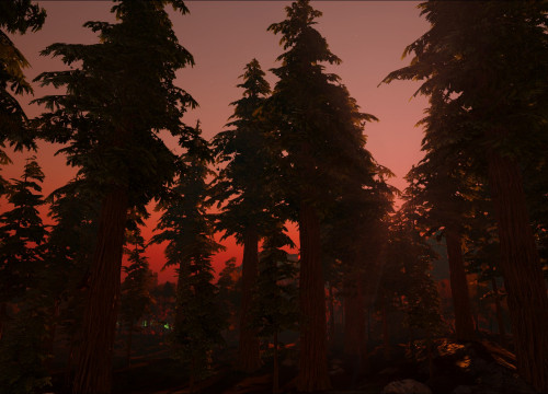 Redwood am Abend