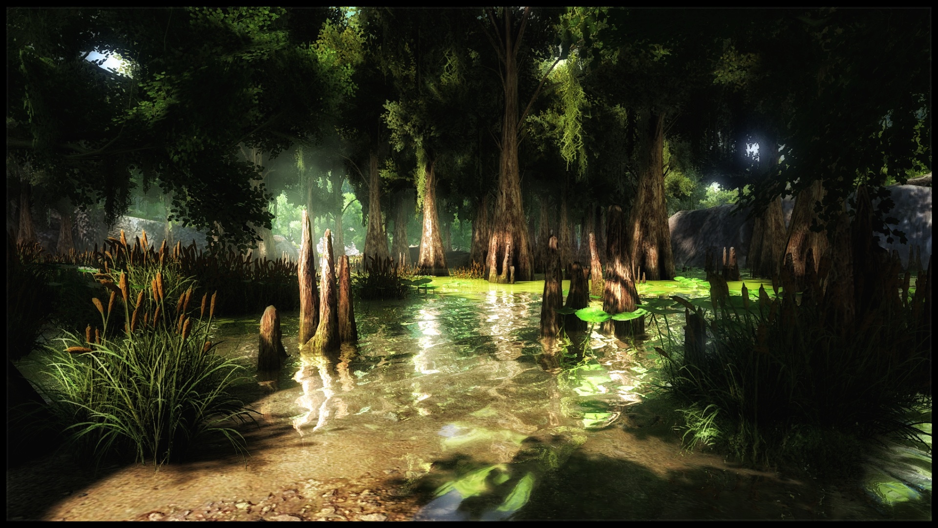 The Island