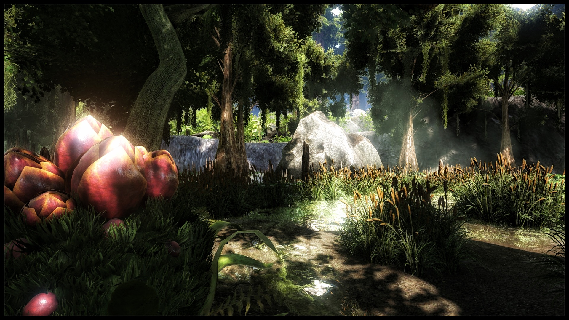 The Island