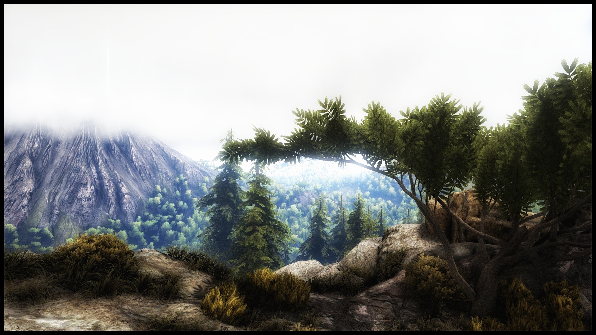 The Island
