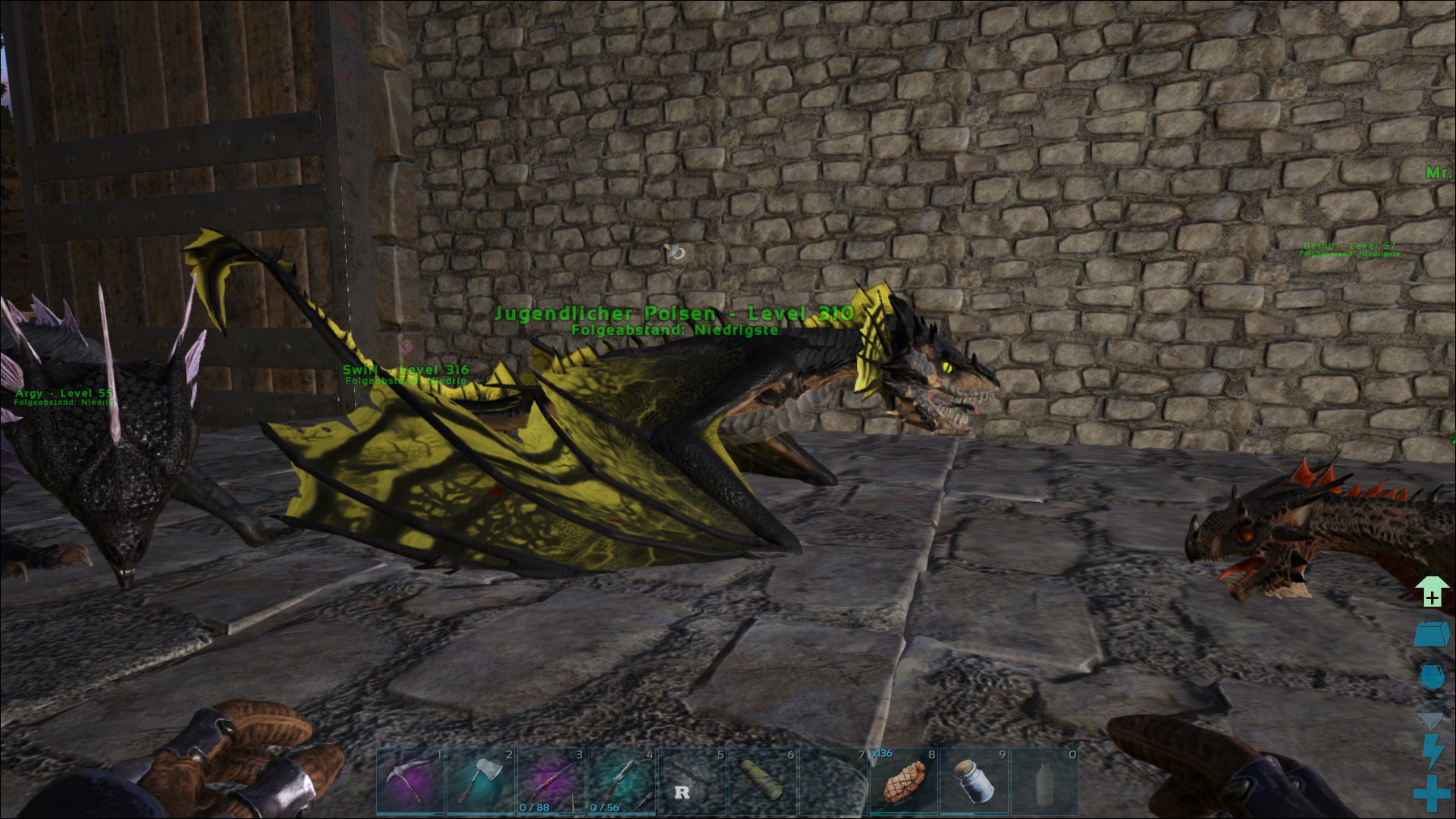 Hübscher Gift Wyvern :)