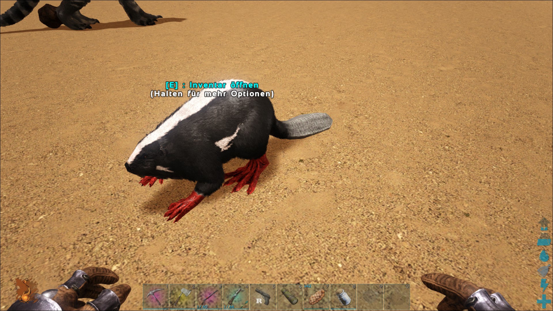Mein erster mutierter Biber :)