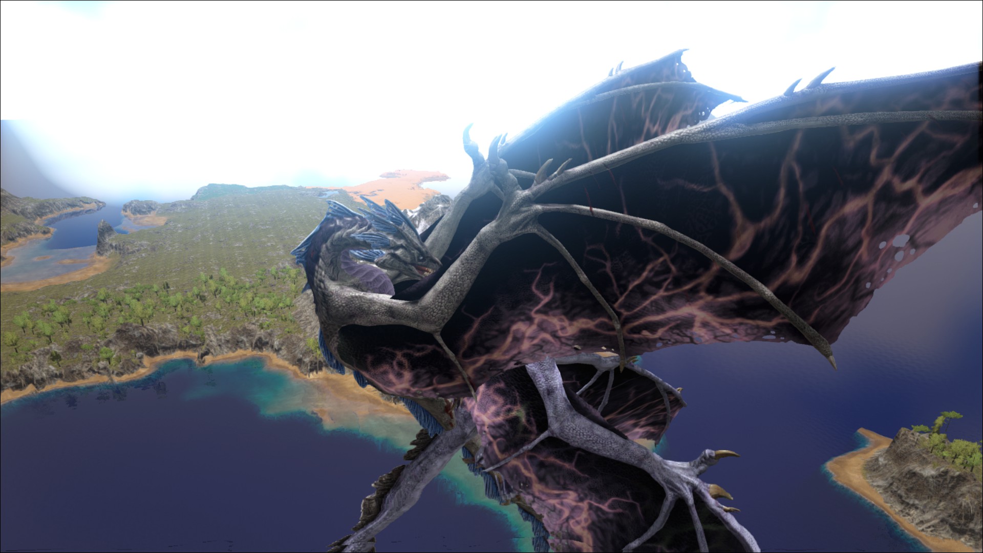 Ist sind echt 2 Drachen xD