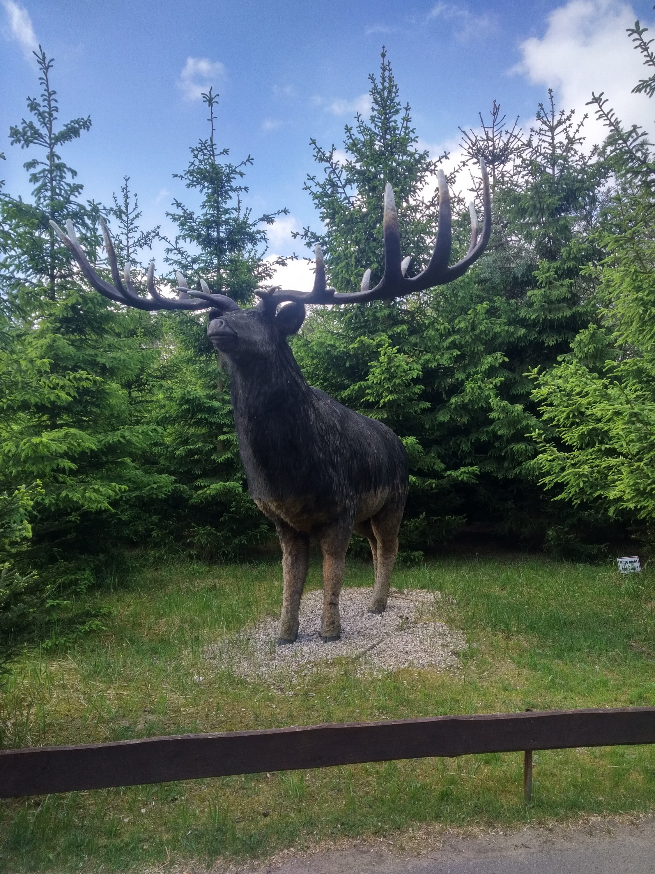Megaloceros