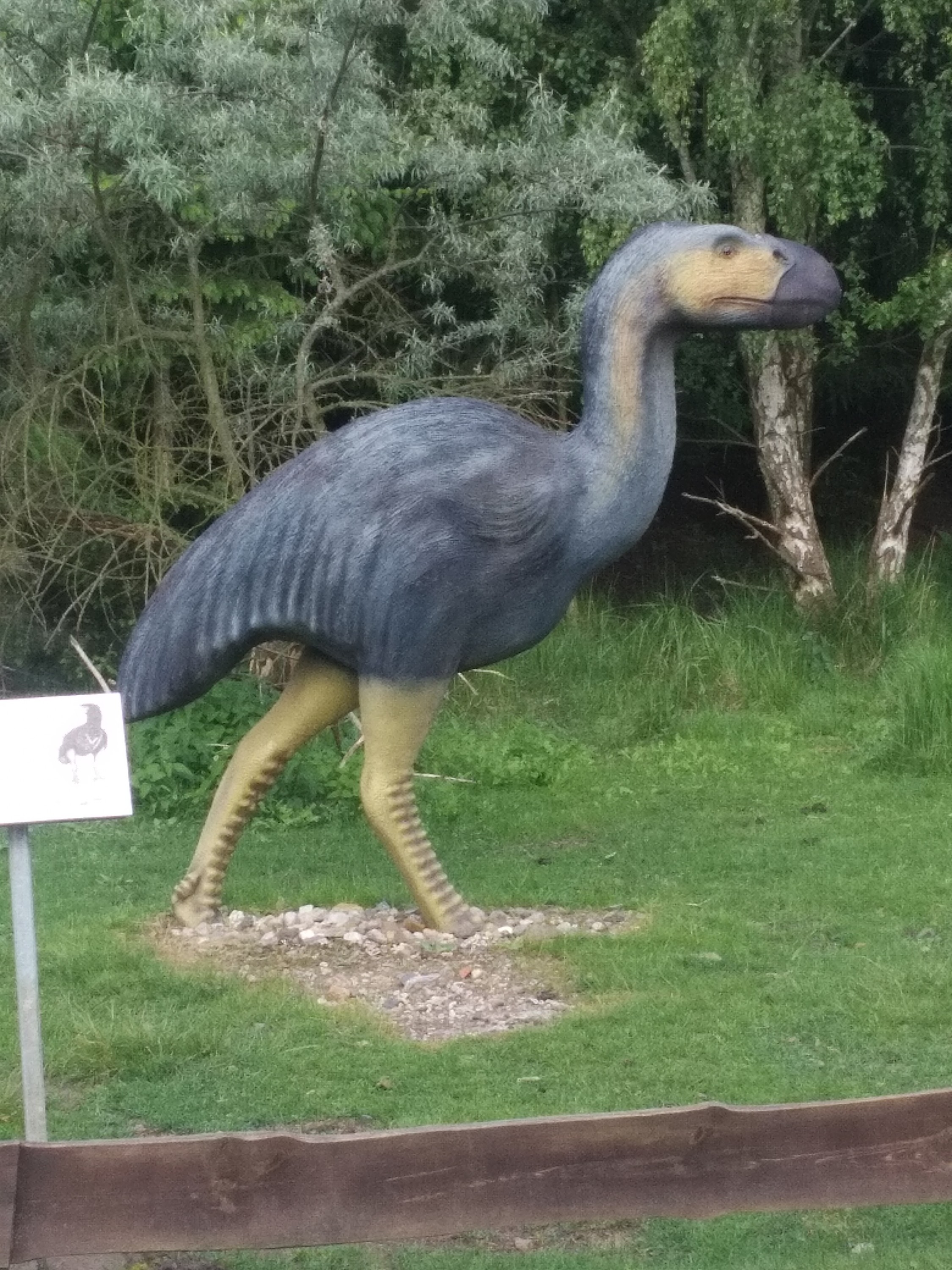 Terror Bird