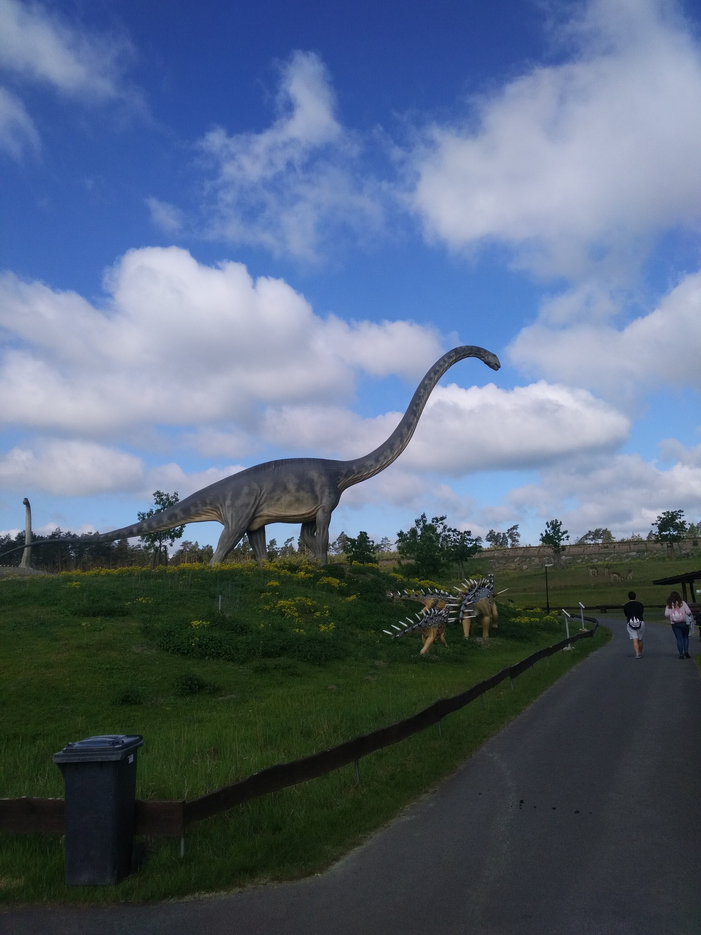 Bronto