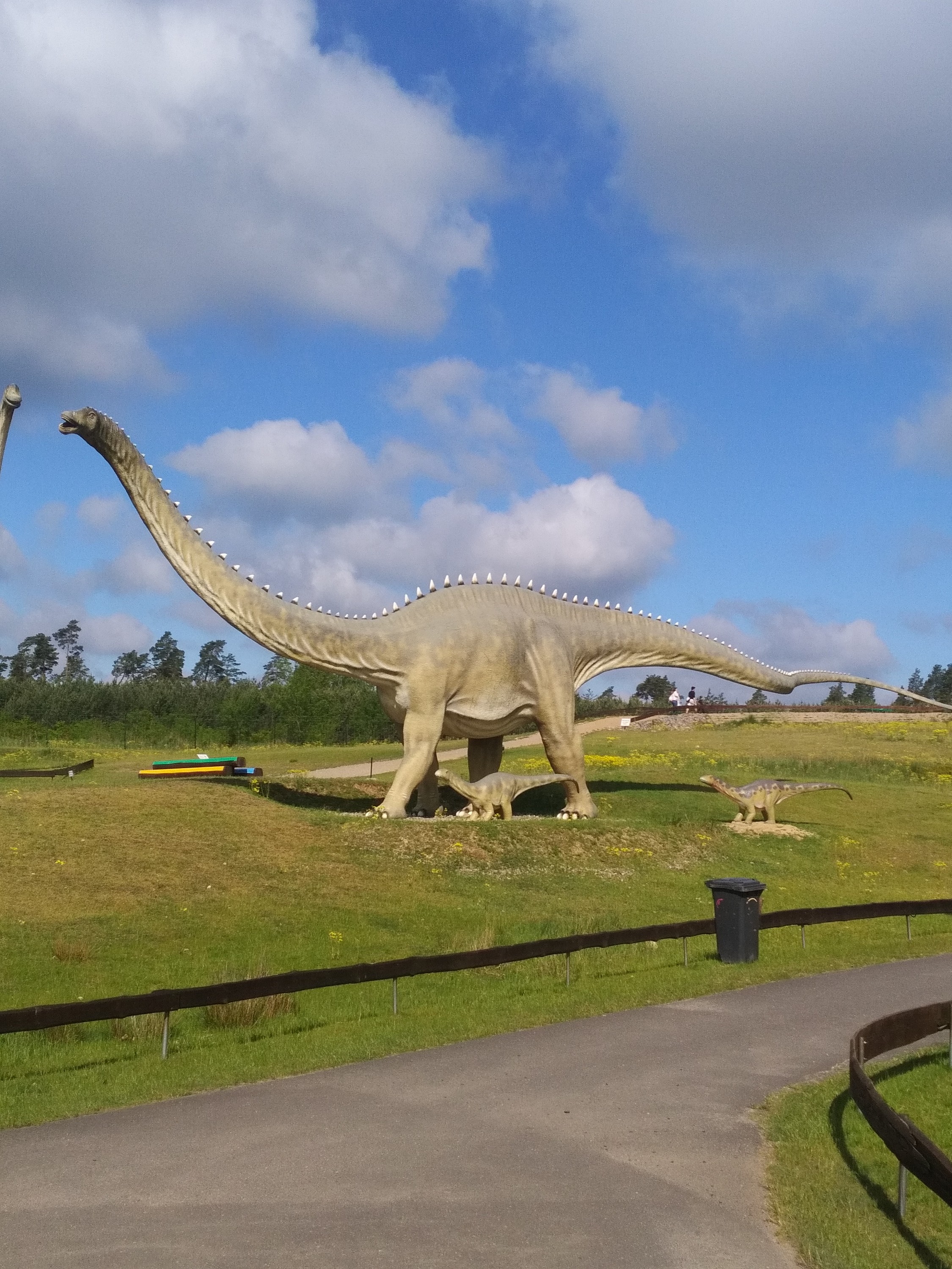 Diplodocus