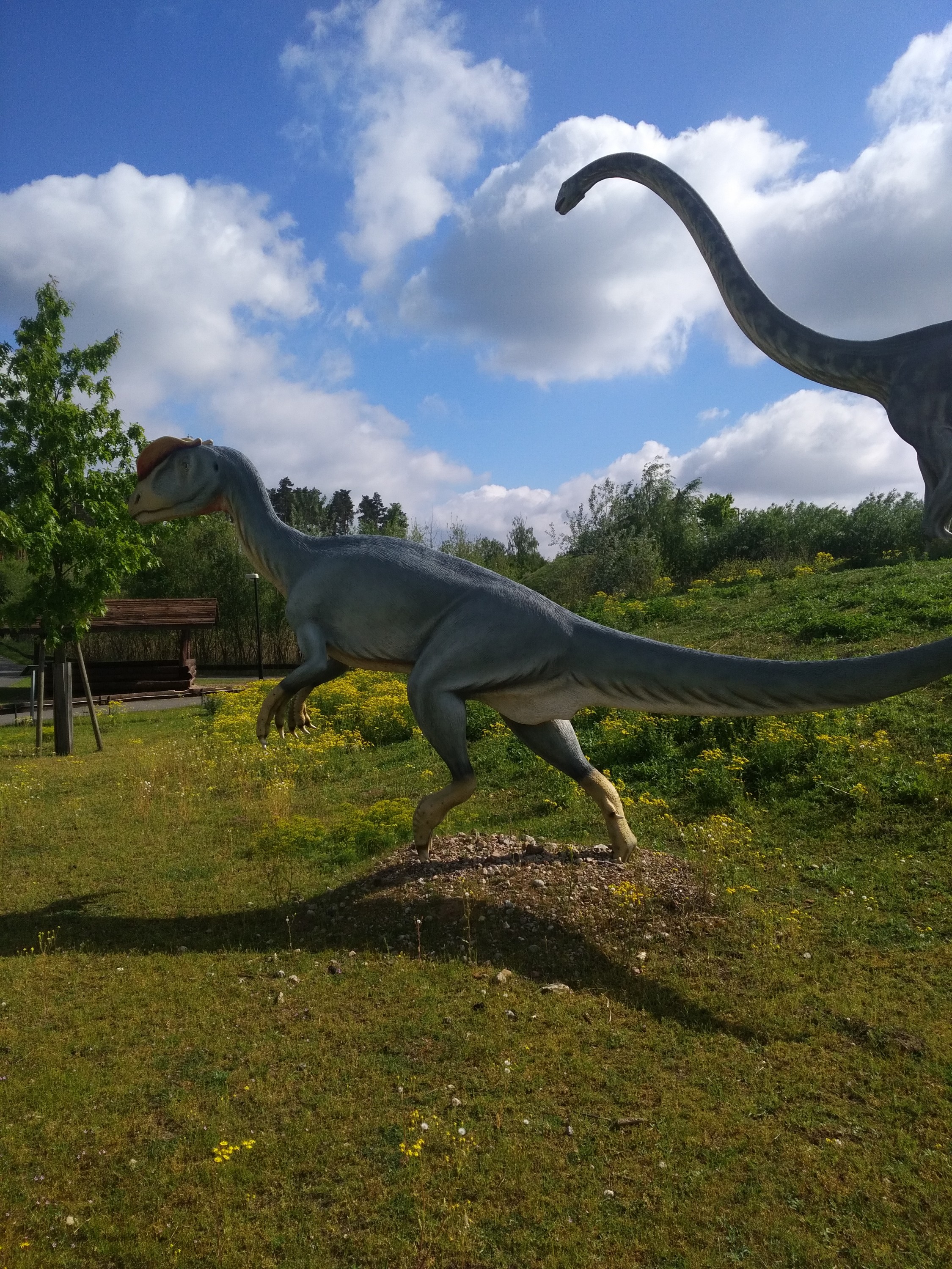 Oviraptor