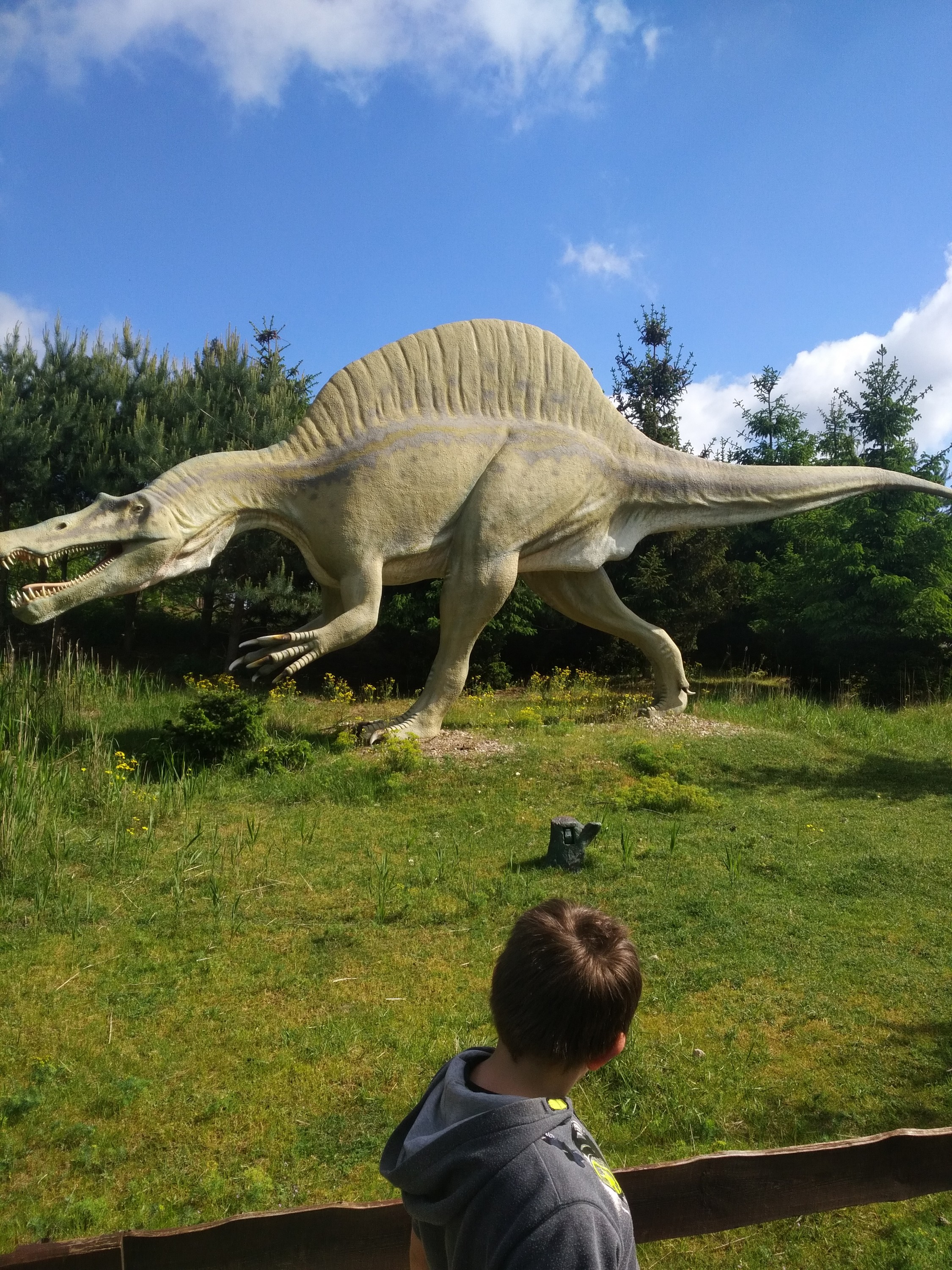 spino