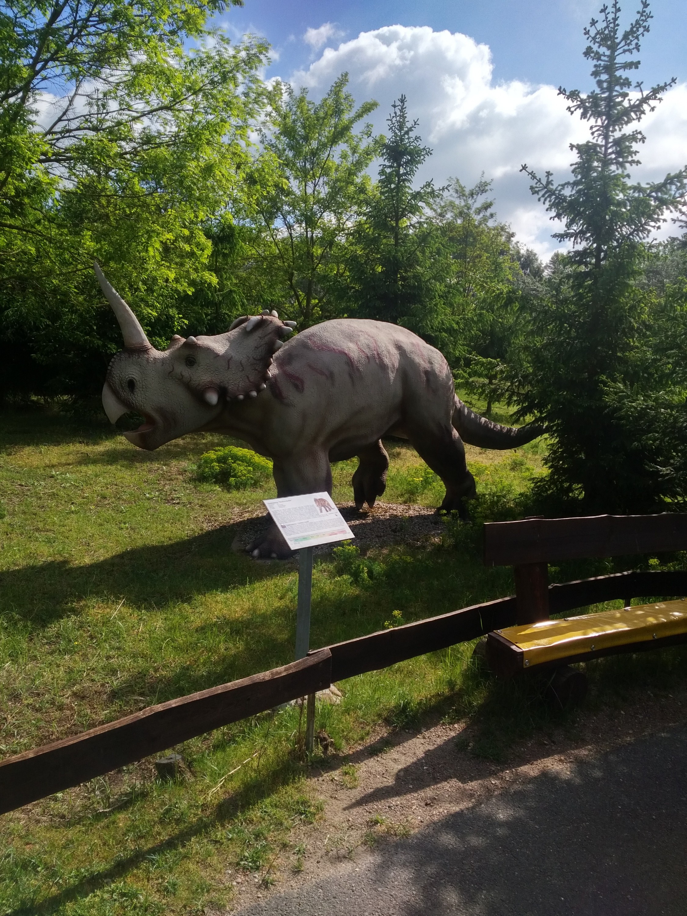 Pachyrhinosaurus