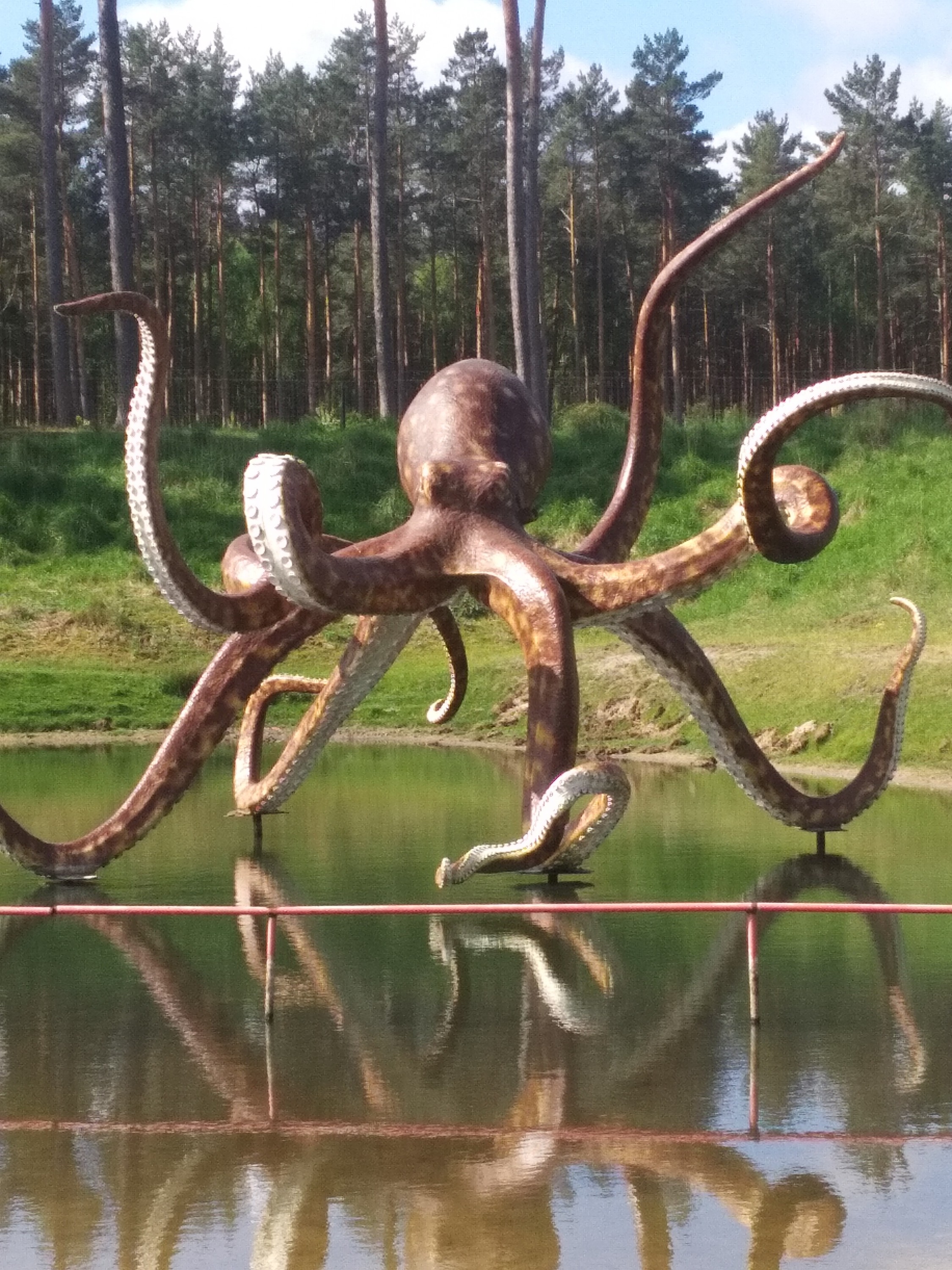 krake