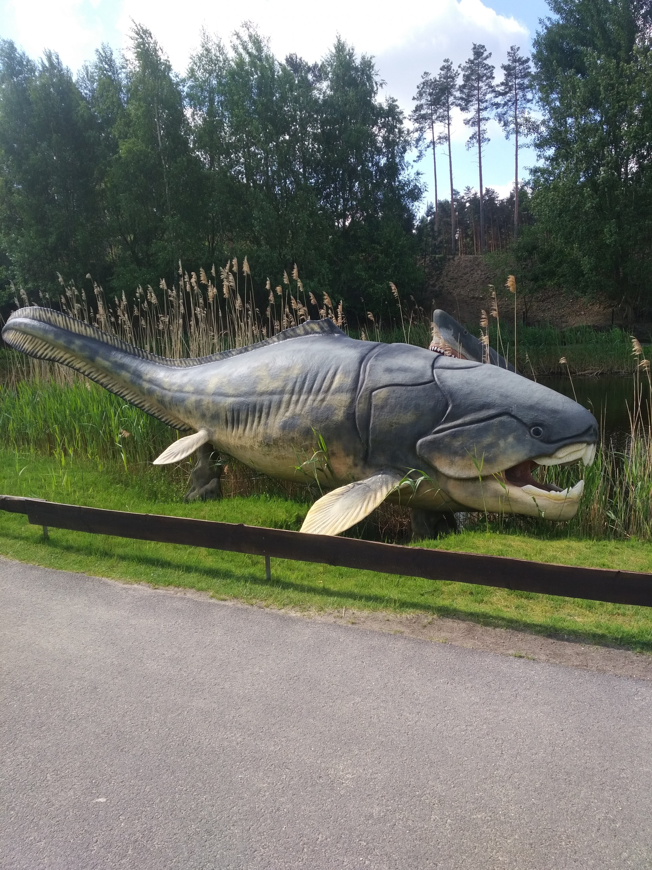 Dunkleosteus