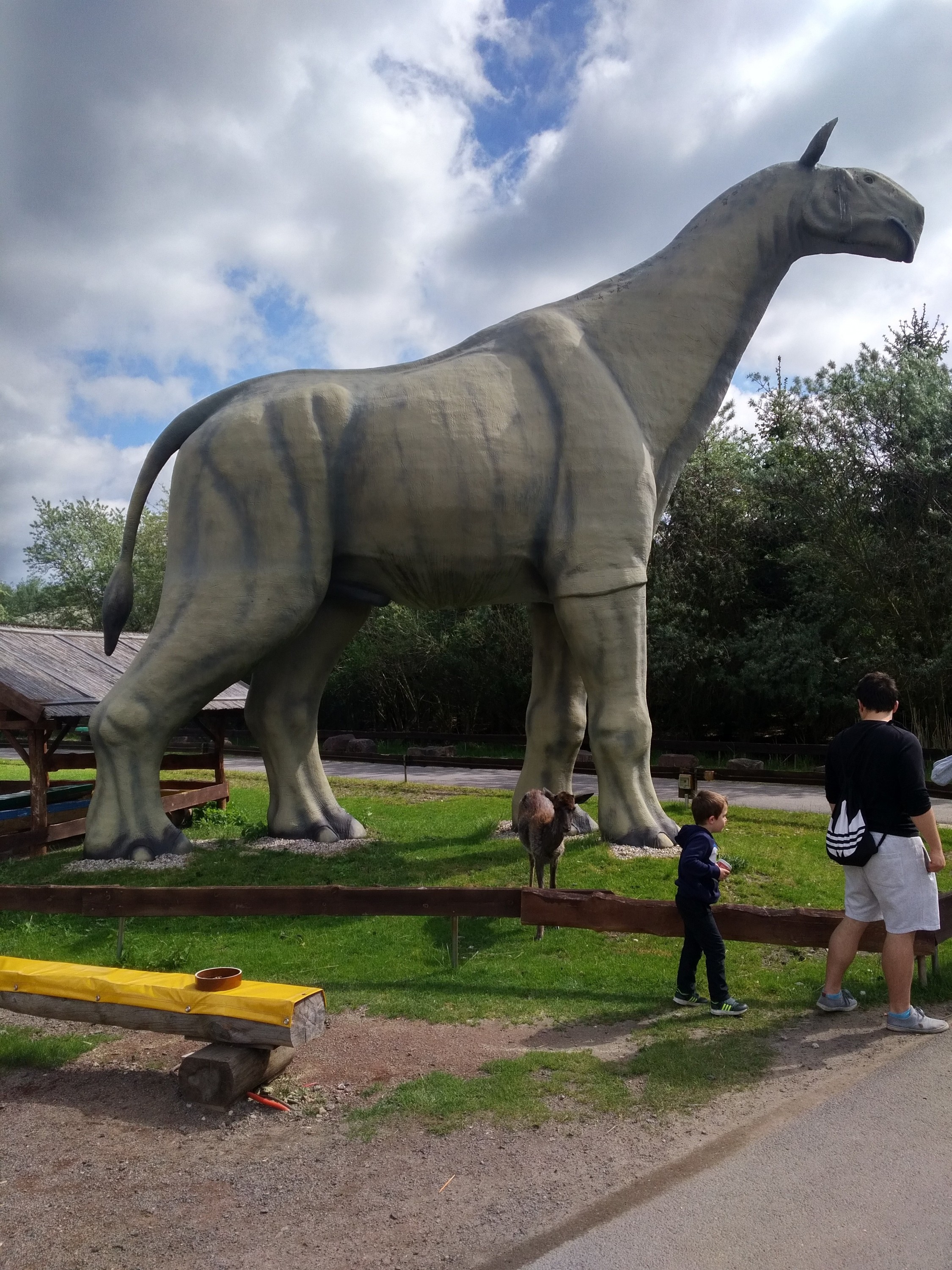 Paraceratherium